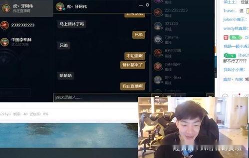 黑哥每日爆料视频网页版,揭秘热点事件，洞察网络风云